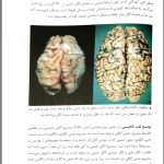 دانلود کتاب روان شناسی کودکان استثنایی بر اساس DSM-5 مهدی گنجی PDF
