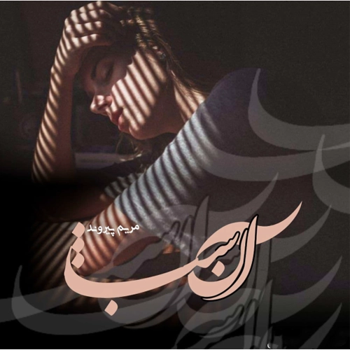 دانلود رمان آن شب وریا و ماهین از مریم پیروند پی دی اف کامل