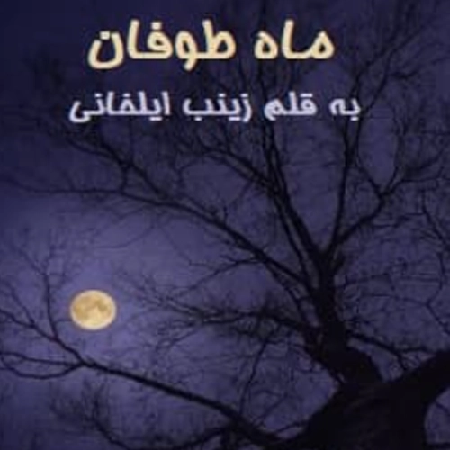 دانلود پی دی اف رمان ماه طوفان از زینب ایلخانی کامل